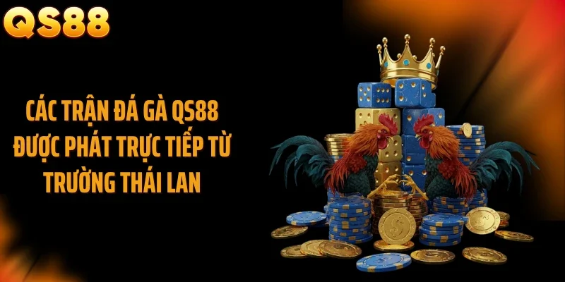 Các trận đá gà QS88 được phát trực tiếp từ trường Thái Lan