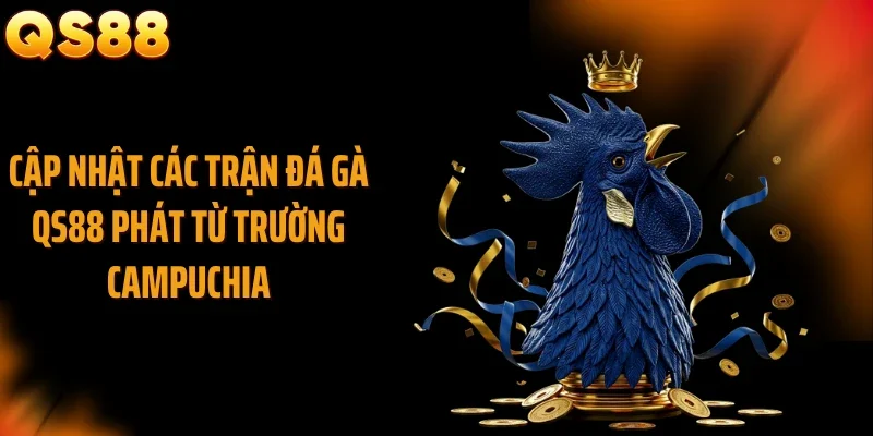 Cập nhật các trận đá gà QS88 phát từ trường Campuchia