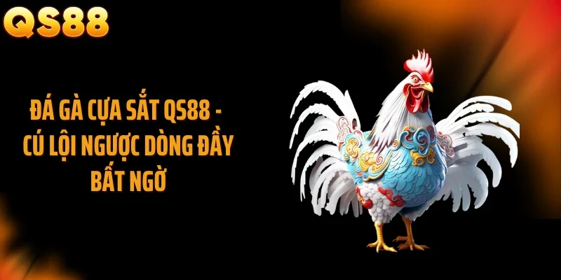 Đá Gà Cựa Sắt QS88 - Cú Lội Ngược Dòng Đầy Bất Ngờ