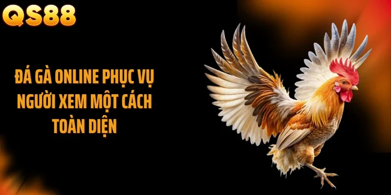 Đá gà online phục vụ người xem một cách toàn diện
