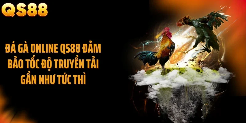 Đá gà online QS88 đảm bảo tốc độ truyền tải gần như tức thì