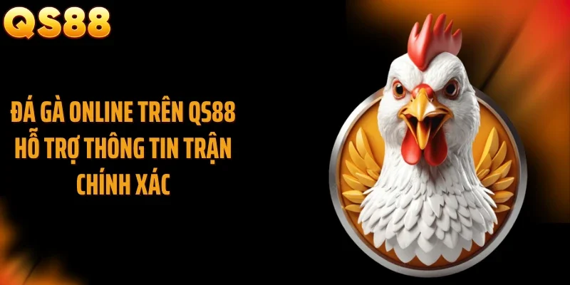 Đá gà online trên QS88 hỗ trợ thông tin trận chính xác