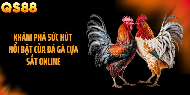 Khám phá sức hút nổi bật của đá gà cựa sắt online