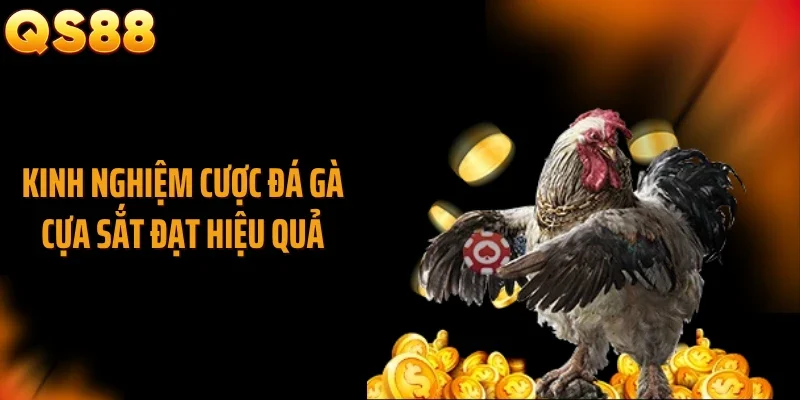 Kinh nghiệm cược đá gà cựa sắt đạt hiệu quả