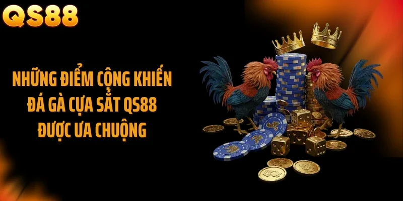 Những điểm cộng khiến đá gà cựa sắt QS88 được ưa chuộng