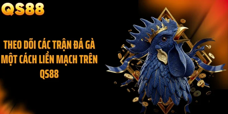 Theo dõi các trận đá gà một cách liền mạch trên QS88